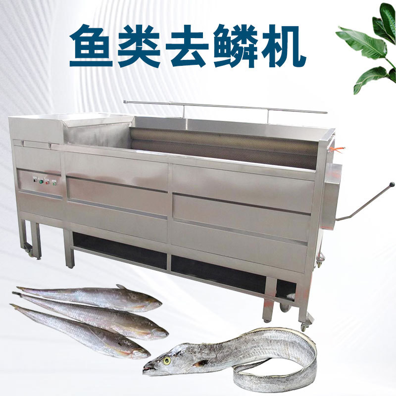 全自动鲜鱼去鳞机不锈钢材质 鲫鱼除鳞机鱼体无损伤电动脱鱼鳞机