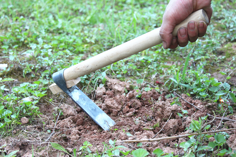 之铭小锄头锰钢除草老式种菜种花家用挖地多功能农用挖土工具_鸿运