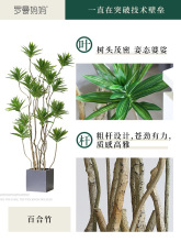 工厂直发仿真植物百合竹大盆栽侘寂风绿植假树北欧落地家居摆件