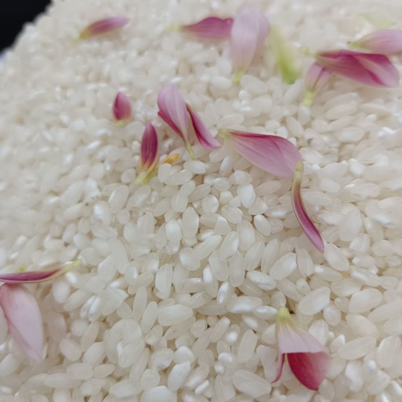 凉糕贵州农家贵潮米桂朝米米皮米豆腐肠粉凉虾米粉专用大米速卖通