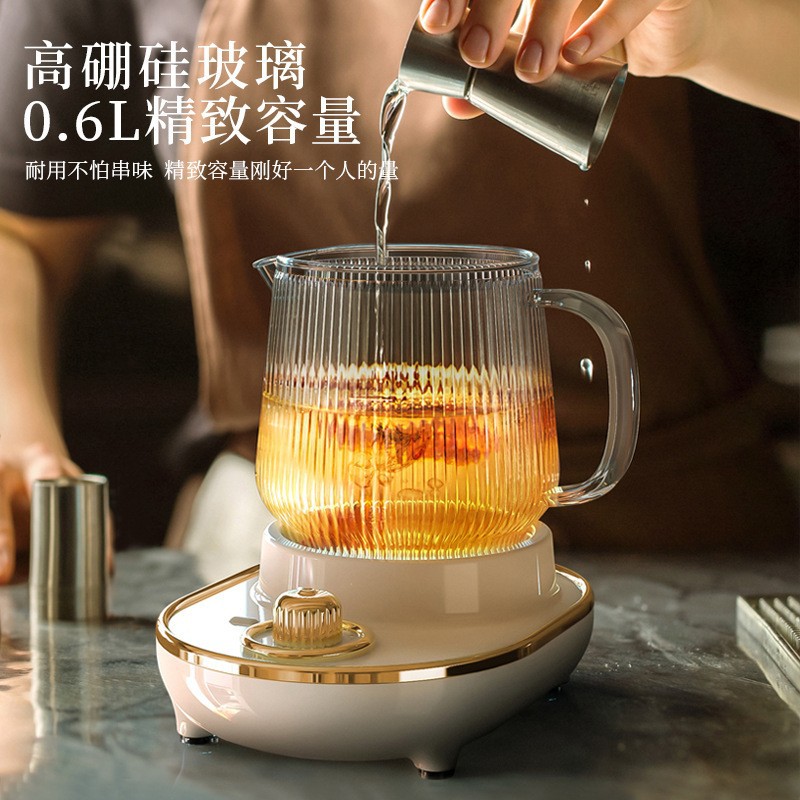 Electric Stew Cooker Multifunctional Office Health Bottle Heating Cup Bird's Nest Cup Slow Cooker Mini Scented Tea Health Pot Wholesale