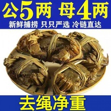 去绳净重残蟹大闸蟹鲜活大残蟹断腿残蟹8只10只独立站亚马逊厂家