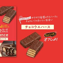 日本进口Bourbon布尔本减糖30%巧克力布朗尼蛋糕威化饼干零食