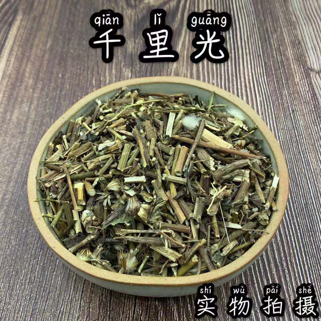 野生千里光草药材店铺九里明 九里光 黄花母-阿里巴巴