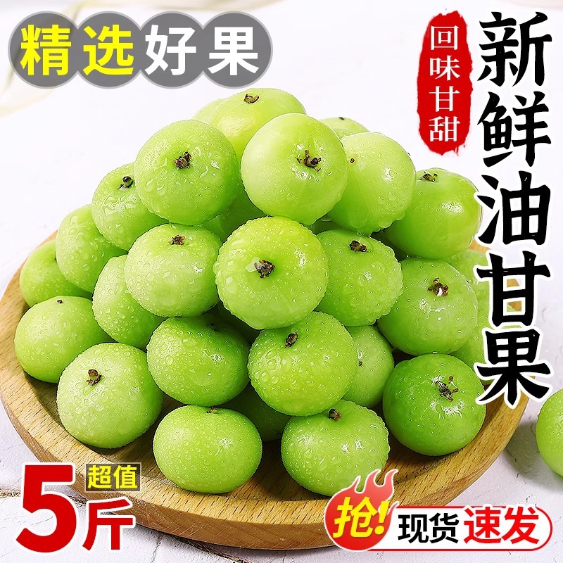 现摘潮汕新鲜油甘果5斤牛甘果余甘子油柑滇橄榄果孕妇酸水果包邮