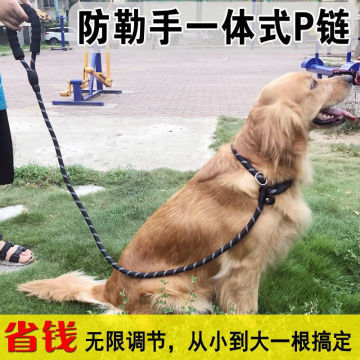 狗狗牵引绳p绳金毛可调节泰迪哈士奇遛狗防脱防爆冲小中大型犬