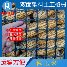 塑料圈玉米网单双向塑料土工格栅养鸡养鸭养殖网圈地鱼塘果园围网