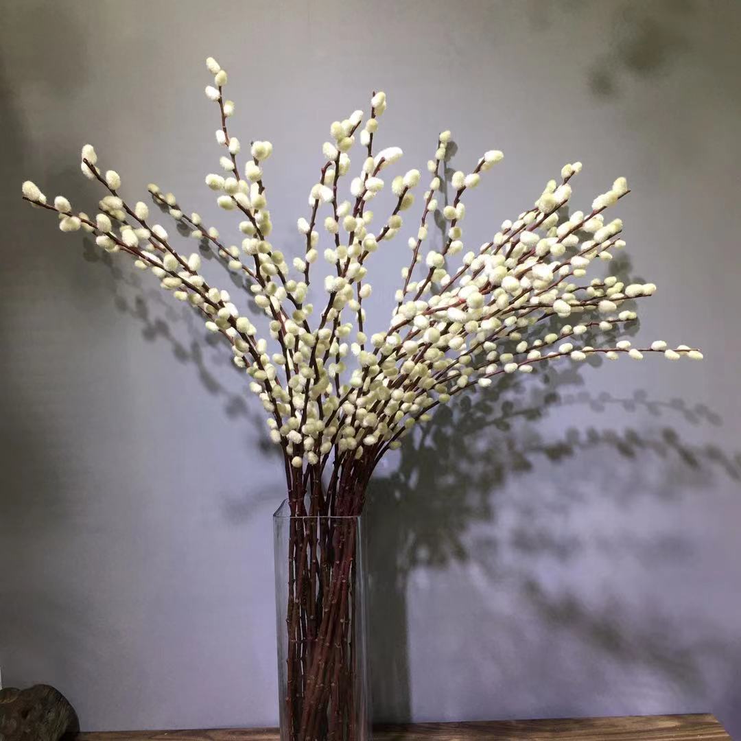 桂香柳银芽柳毛果仿真银柳工厂批发插花配材婚庆婚礼家居装饰工程