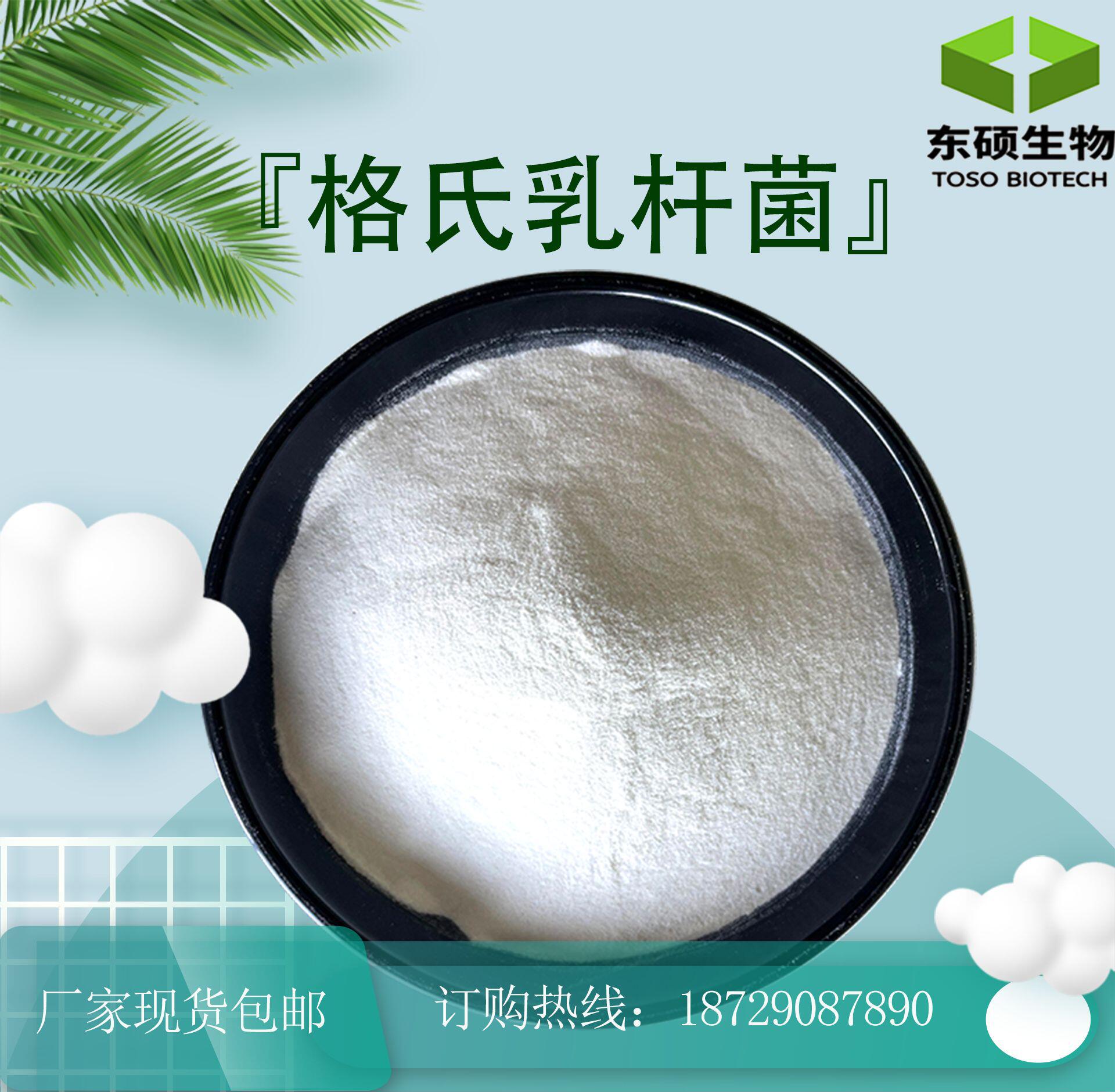 格氏乳杆菌100亿cfu/g冻干粉 活性益生菌