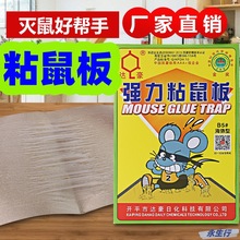 达豪B5海外型粘鼠板强力沾鼠达豪老鼠贴强力粘鼠贴灭鼠粘鼠板批发