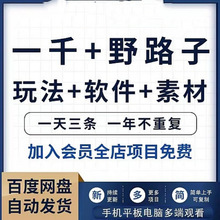 一千个野路子信息差素材玩法说明教程抖音视频项目资料做法