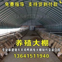 养殖大棚全套大棚钢管骨架养鸡鸭鹅猪舍养牛棚羊圈椭圆管大棚搭建