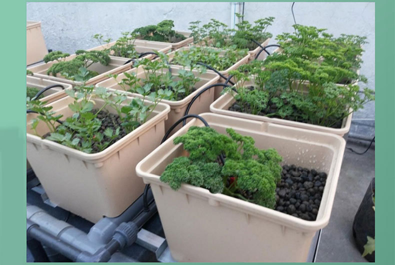 厂家直销温室大棚无土栽培设施水耕基质蔬菜瓜果塑料种植荷兰桶