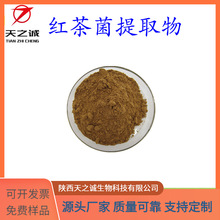 红茶菌提取物 20:1 红茶菌多糖 红茶菌多糖肽  现货供应 欢迎咨询