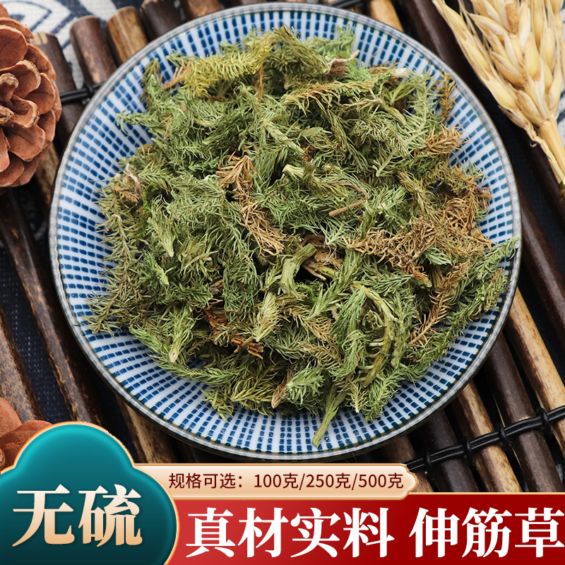 伸筋草500g克舒筋草泡脚远志益智仁伸筋草石松狮子尾狮子草中药材