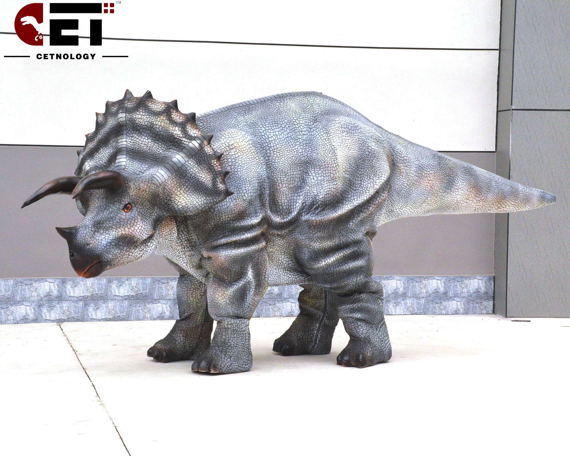 动物表演装-动物表演装厂家,品牌,图片,热帖-阿里巴巴