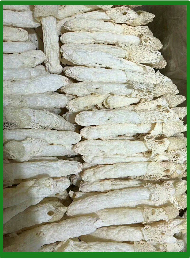 贵州土特产农产品连帽连蛋竹荪自然生长菌菇竹笙菌包批发竹荪干货