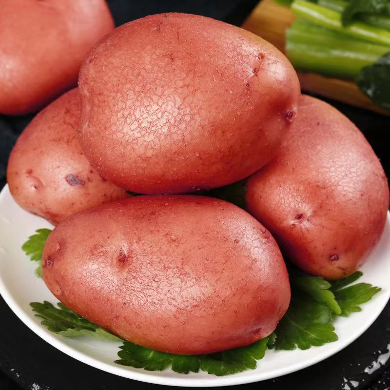 云南新鲜红皮黄心土豆五斤大果现挖现发蔬菜