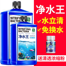 鱼缸净水剂水立清澄清剂清澈剂净化消化菌用硝化细菌清洁水质杀菌