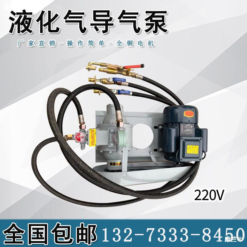 220v液化气导气泵48v车载倒气泵充气泵充气管煤气高压泵丙烷泵