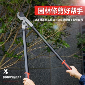 得力工具树枝剪剪刀大力绿化修枝剪树枝园林专用强力剪子花木枝