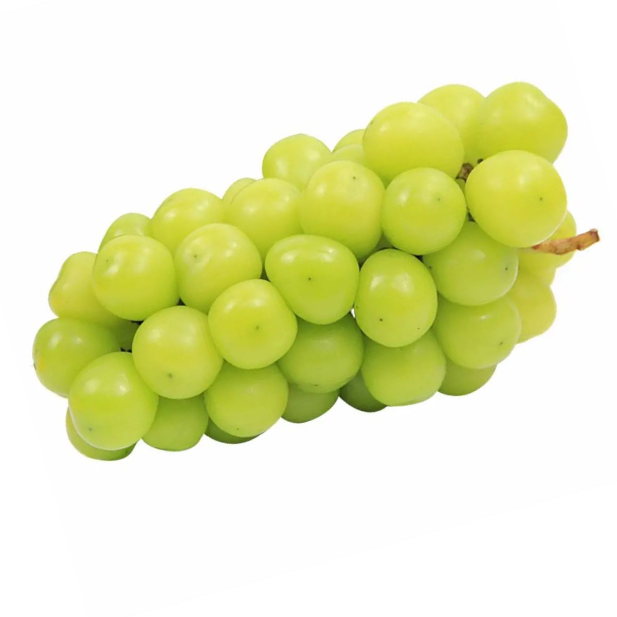 现货 引种日本晴王葡萄 阳光玫瑰葡萄香印青提12-15克