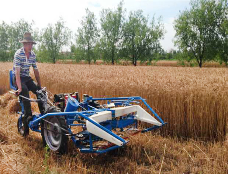 芦苇割捆机 自走式收割打捆一体机 水稻青稞割晒机玉米秸秆收割机