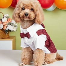亚马逊新品宠物礼服 棉质薄款领带衬衫狗狗西装比熊泰迪衣服批发