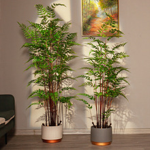 北欧ins风仿真蕨树假树绿植植物盆栽室内客厅套装造景观塑料摆件