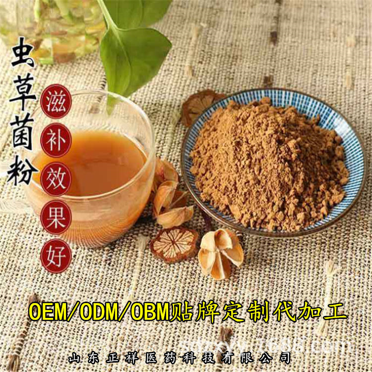 蛹虫草菌粉 蝙蝠蛾拟青霉 发酵虫草菌丝粉 虫草提取物oem贴牌定制