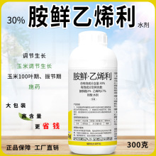 玉米控旺专用矮壮素胺鲜乙烯利控制生长增产抗倒伏矮杆生长调节剂