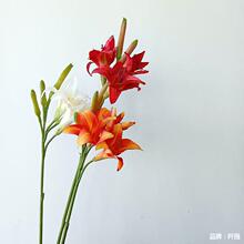 仿真花 萱草 黄花百合花 单枝假花 室内家居装饰 摄影道具艺术花