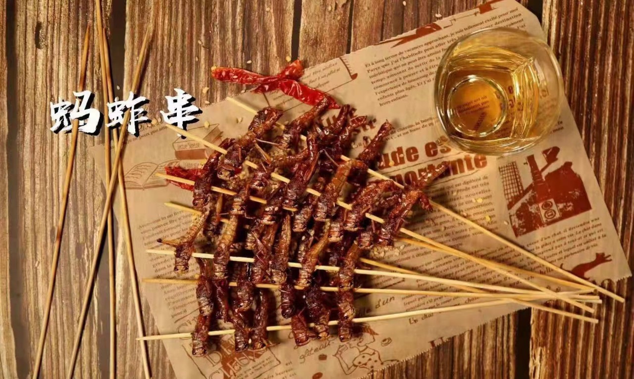 批发冷冻蚂蚱无翅蚂蚱串东亚飞蝗烧烤食材