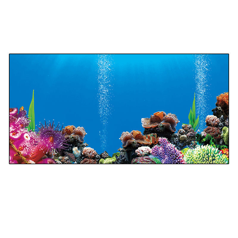 鱼缸背景贴纸海洋海底世界正面自带胶红龙鱼蓝色高清耐用防水