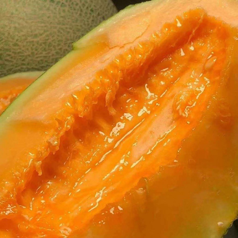 海南水果新鲜哈密瓜当季现摘脆甜瓜网纹瓜西州蜜香瓜工厂一件批发