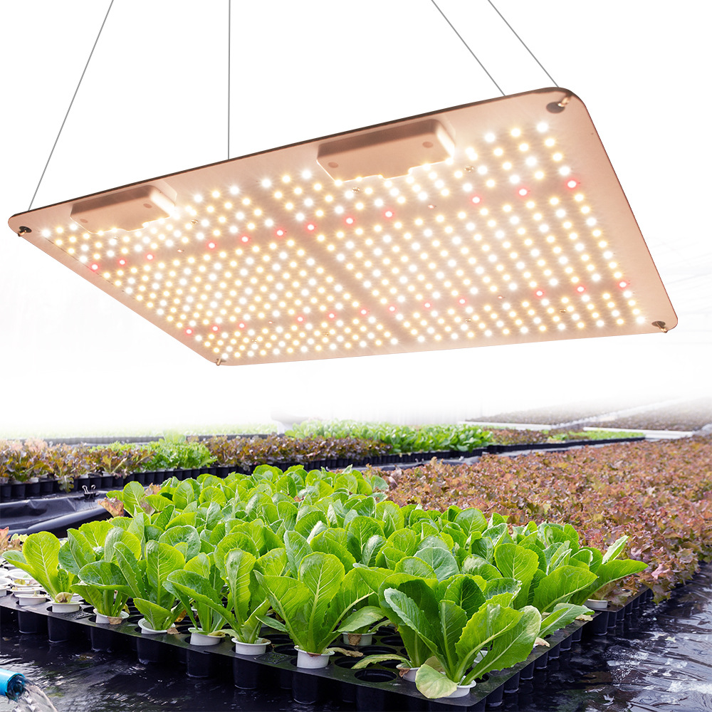全光谱led量子板植物生长灯大功率种植灯仿太阳光温室花卉补光灯