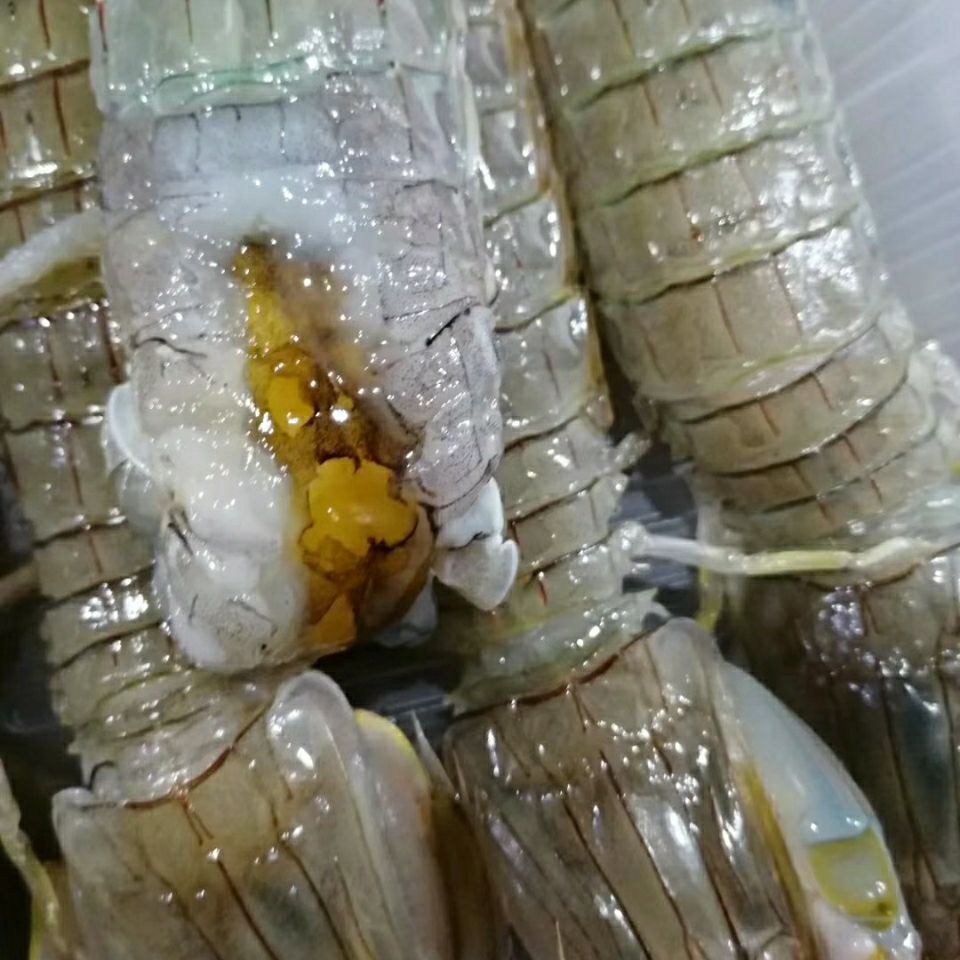 3斤包邮生腌虾爬皮皮虾醉虾生呛虾爬酱虾咸虾开袋即食濑尿虾