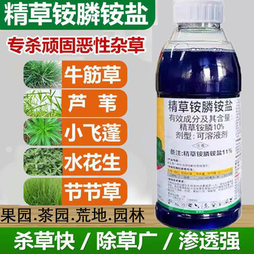10%精草铵膦铵盐除果园除草剂牛筋草小飞蓬恶性杂草除草一件代发