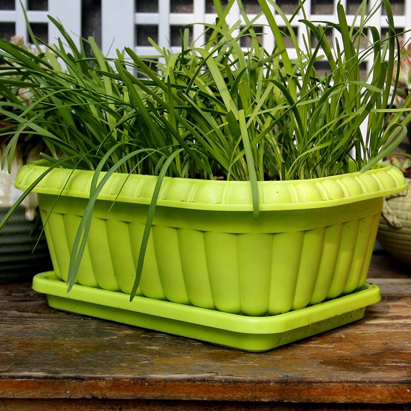 种葱专用盆长形花盆种菜盆家庭蔬菜塑料花盆阳台花箱槽韭菜根盆栽