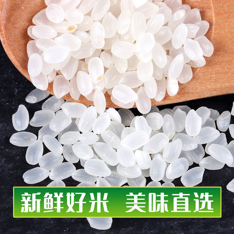 东北大米5kg圆粒珍珠米新米黑龙江10斤大米真空袋装团购 批发整箱