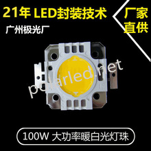 厂家直供大功率10W-100W灯饰照明灯珠 新款光源大功率led白光灯珠