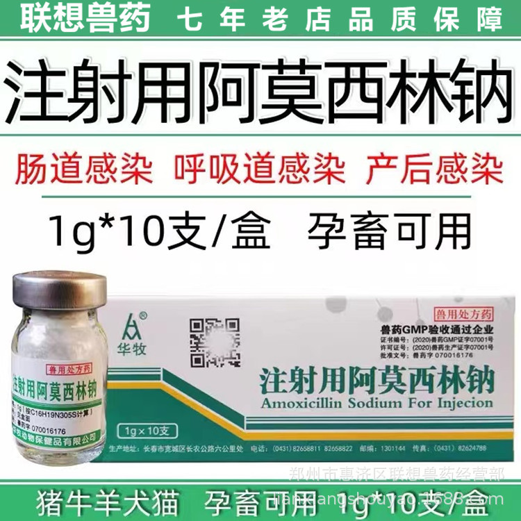 兽用华牧注射用阿莫西林钠猪药牛羊药消炎药猪丹毒产后感染1g/支
