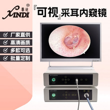 上海馨迪厂家直供高清晰可视采耳动物耳鼻喉工业LED冷光源内窥镜