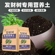 花土 通用土发财树营养土养花家用盆栽花卉发财树适用速卖通严选