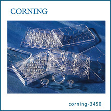 康宁Corning 3450 Transwell嵌套 (带聚脂膜24mm 0.4um)
