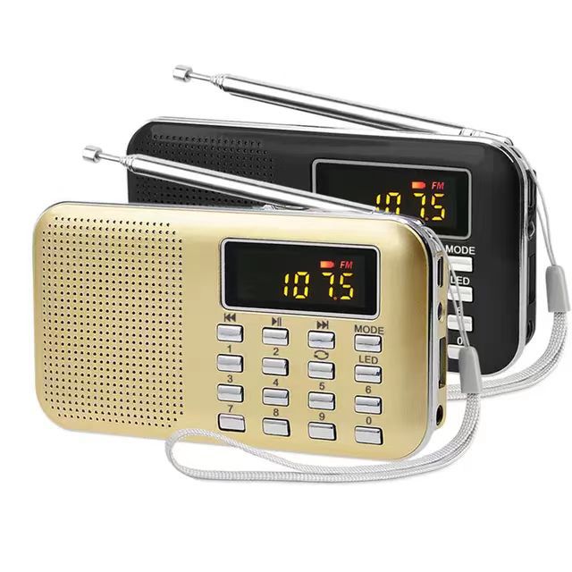 L-218 Card-In Speaker Image 1