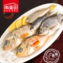 有鱼仓新鲜江湖海杂鱼包小黄鱼鲷鱼石斑鱼红娘鱼沙丁鱼多种鱼批发