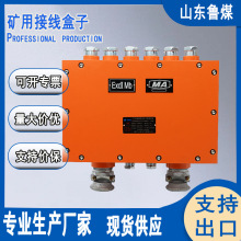 矿用隔燥型高压电绕接线盒 JHH-4铜条带挂钩 接线盒子