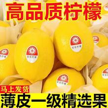 安岳黄柠檬水果当季新鲜水果整箱批发薄皮柠檬果子多规格包邮