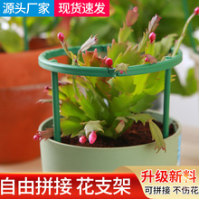 兰花支架防倒伏支架爬藤架用品园艺爬藤花架植物专用支撑杆花支柱